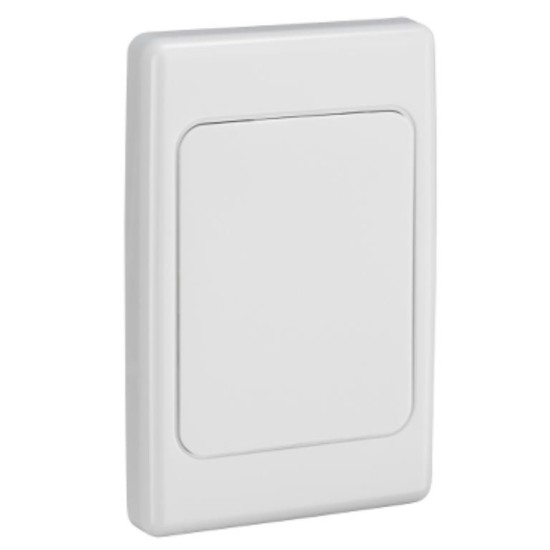 Clipsal 2000 Series Flush Surround and Gridplate, Flush Surround and Gridplate, Blank, Vertical/Horizontal Mount, Standard Size, White Electric