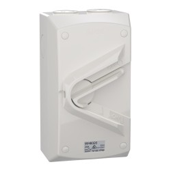 Weathershield, Switch, 1-Gang, 3 Pole, 20A, 500VAC, IP66