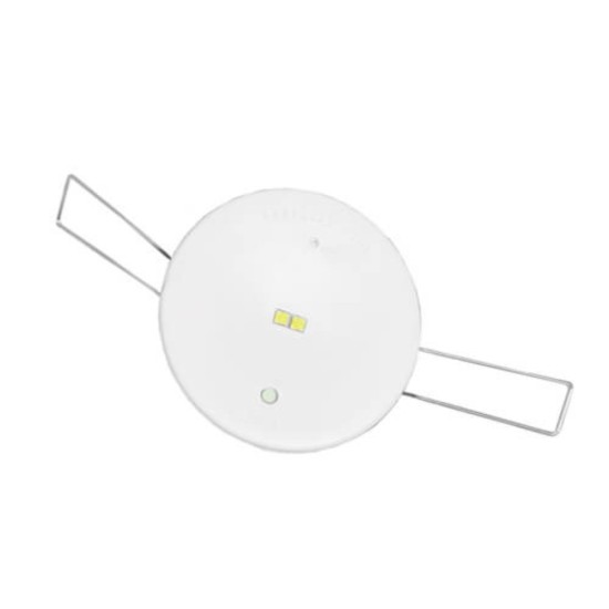 Lifelight Pro Emergency, Recessed Mount, LP, Clevertest Plus, D80