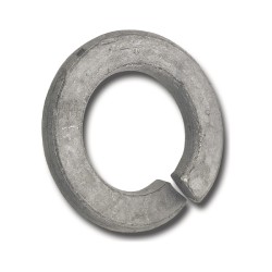 M10 Spring Washer Galvanised