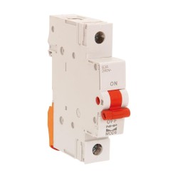 NHP MOD6 Miniature Circuit Breaker Main Switch 1Pole 100A