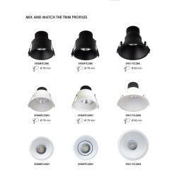 Dimmable 10 watt LED module, with selectable CCT