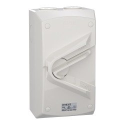 Weathershield, Switch, 1-Gang, 3 Pole, 55A, 440VAC, IP66