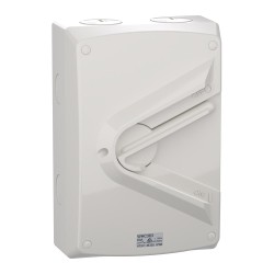 Weathershield, Switch, 1-Gang, 3 Pole, 63A, 415VAC, IP66